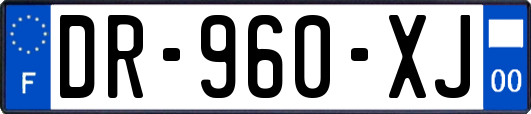 DR-960-XJ