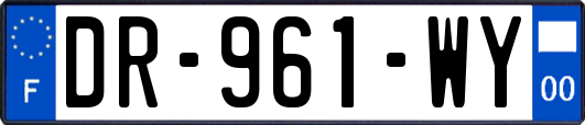 DR-961-WY