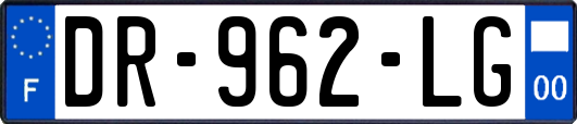 DR-962-LG