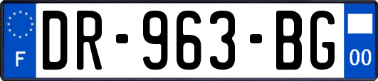 DR-963-BG