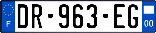 DR-963-EG