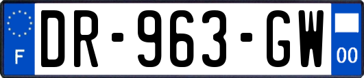 DR-963-GW