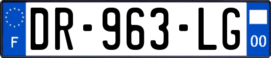 DR-963-LG