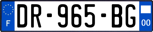 DR-965-BG