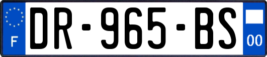 DR-965-BS