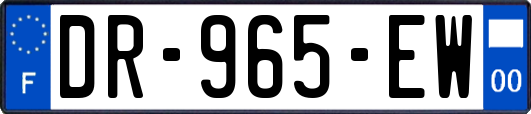 DR-965-EW