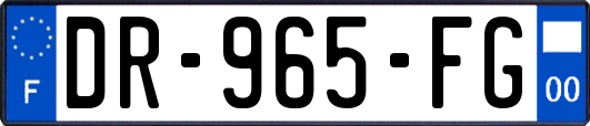 DR-965-FG