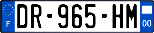 DR-965-HM