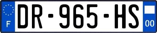 DR-965-HS