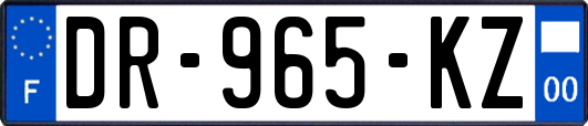 DR-965-KZ