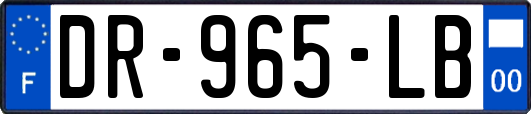 DR-965-LB