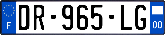 DR-965-LG