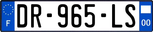 DR-965-LS