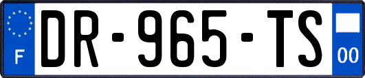 DR-965-TS