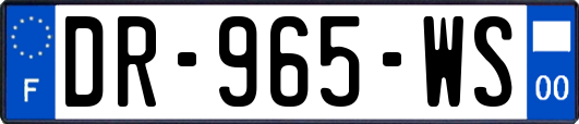 DR-965-WS