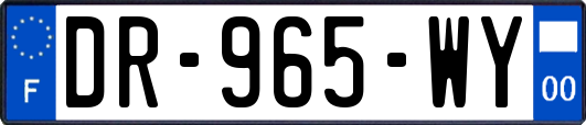 DR-965-WY