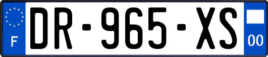 DR-965-XS