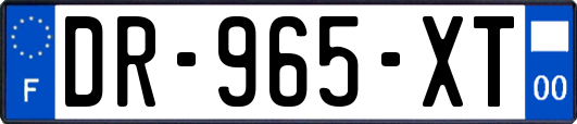 DR-965-XT