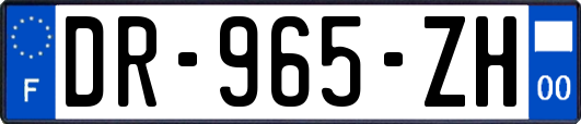 DR-965-ZH