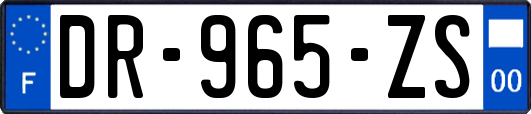 DR-965-ZS