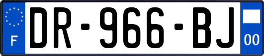 DR-966-BJ