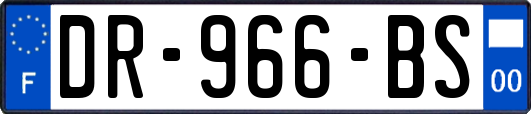 DR-966-BS