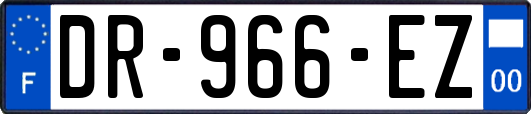 DR-966-EZ