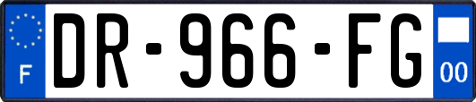 DR-966-FG