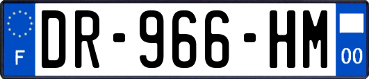 DR-966-HM