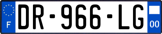 DR-966-LG