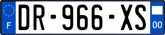 DR-966-XS