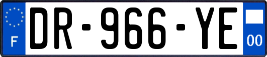 DR-966-YE
