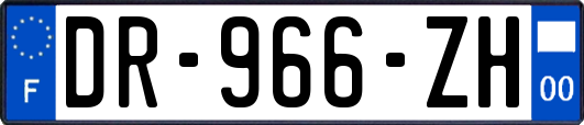 DR-966-ZH