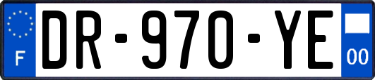 DR-970-YE