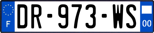 DR-973-WS