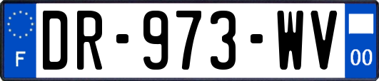 DR-973-WV