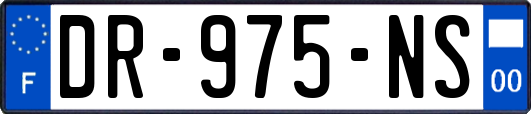 DR-975-NS