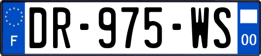 DR-975-WS