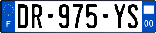DR-975-YS