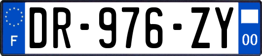 DR-976-ZY