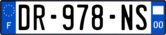 DR-978-NS