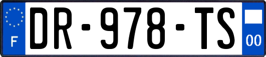 DR-978-TS