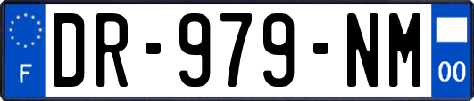 DR-979-NM