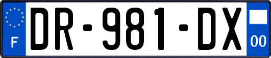 DR-981-DX