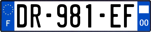 DR-981-EF