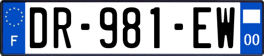 DR-981-EW