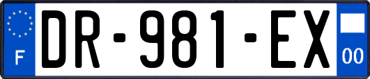 DR-981-EX