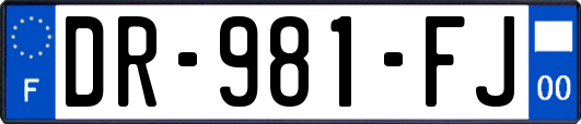 DR-981-FJ