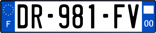 DR-981-FV