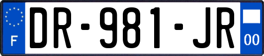 DR-981-JR